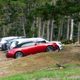 Illustration for article titled Some Pebble Beach Photos